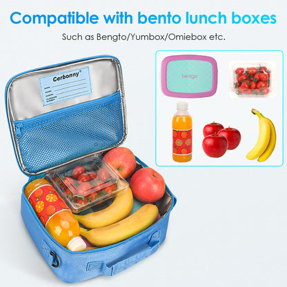 compatible with bento lunch boxes